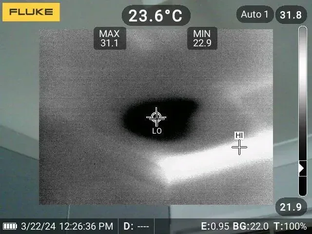 Thermal image with darker and lighter areas indicating apparent temperature differences